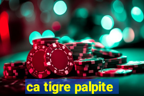 ca tigre palpite